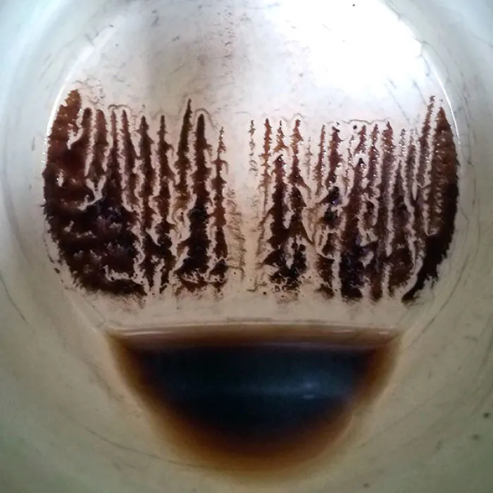 Los posos del café me han sorprendido