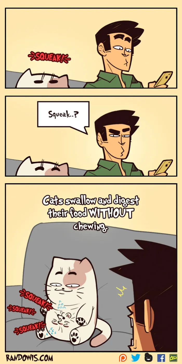 30 Socially Awkward Situations And Funny Random Thoughts That Gained This Artist 100,000 Followers