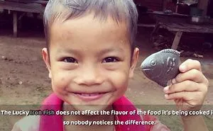 This $25 Iron Fish Is Saving The Lives Of Millions And It Can Save Yours Too