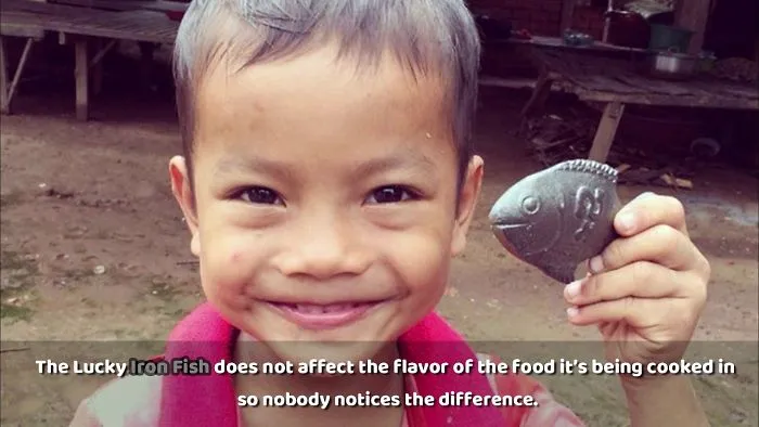 This $25 Iron Fish Is Saving The Lives Of Millions  And It Can Save Yours Too