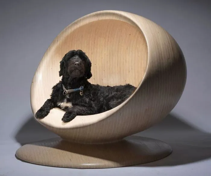 Architects Around The World Design Unique Dog Houses And It's For A Good Cause