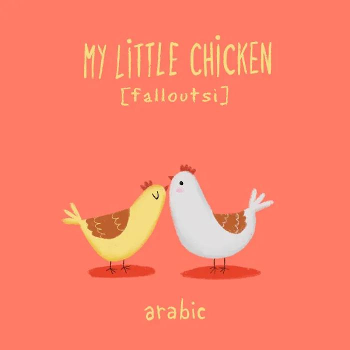 My Little Chicken - Arabic
