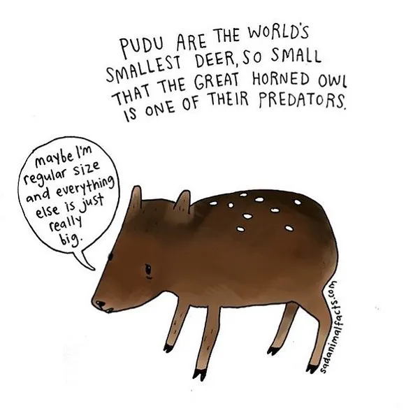 Pocket-Sized Perspective