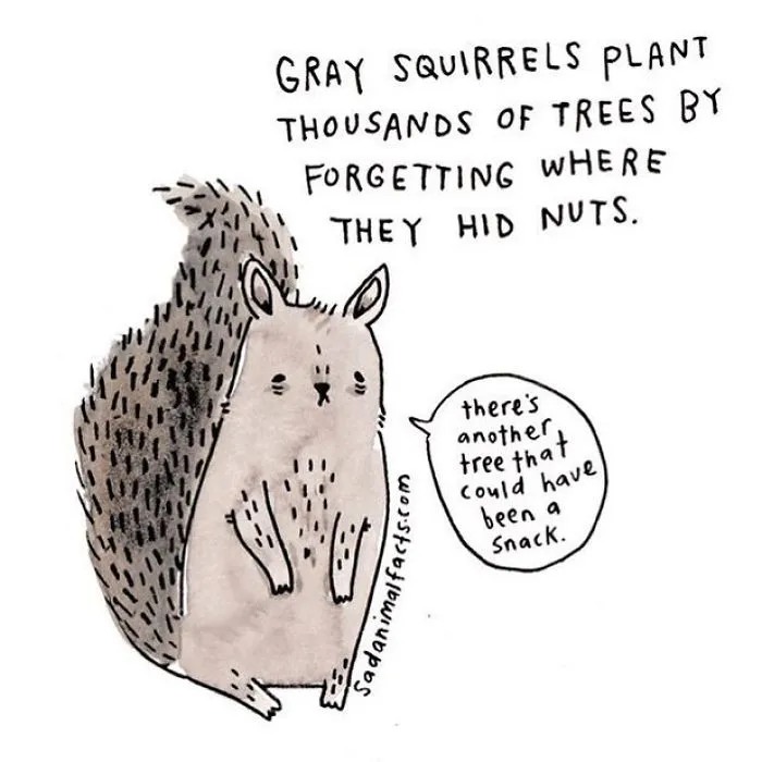 Nutty Nature Hacks