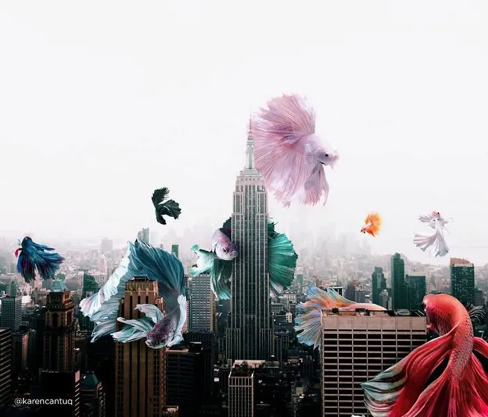 Surreal-Images-Digital-Art-Karencantuq