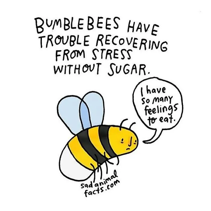 Sugar Fix Required