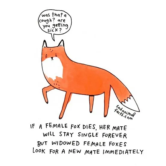 Fox Facts With A Twist