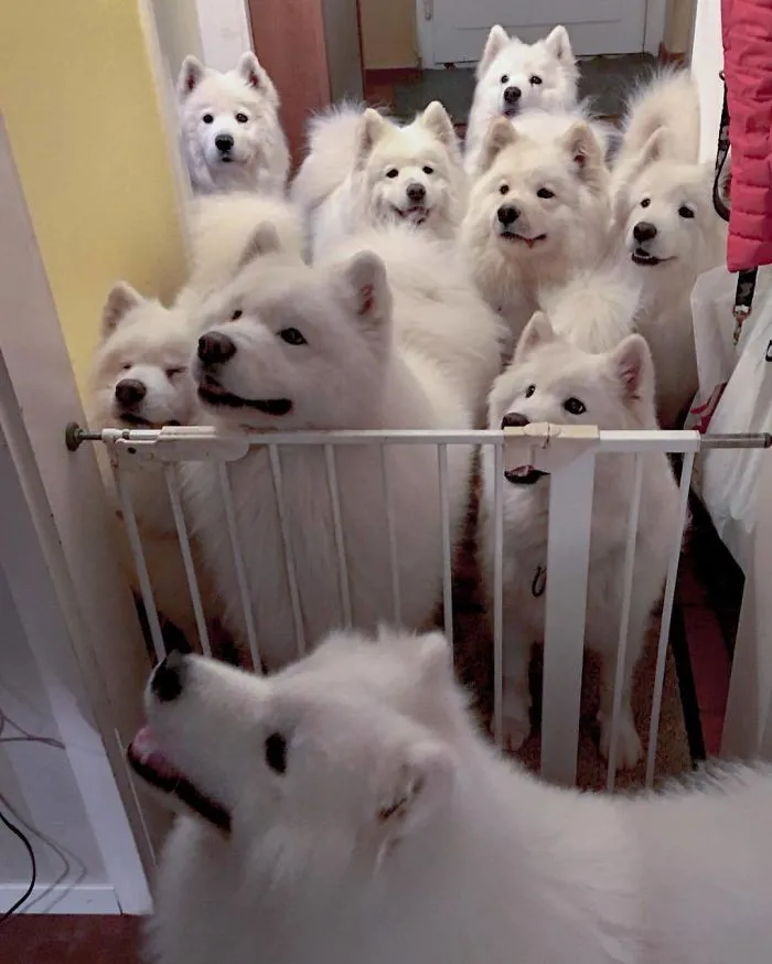 "Where Do You See Yourself In 10 Years?"