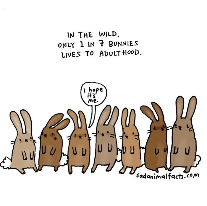 Survival Odds Are Hopping