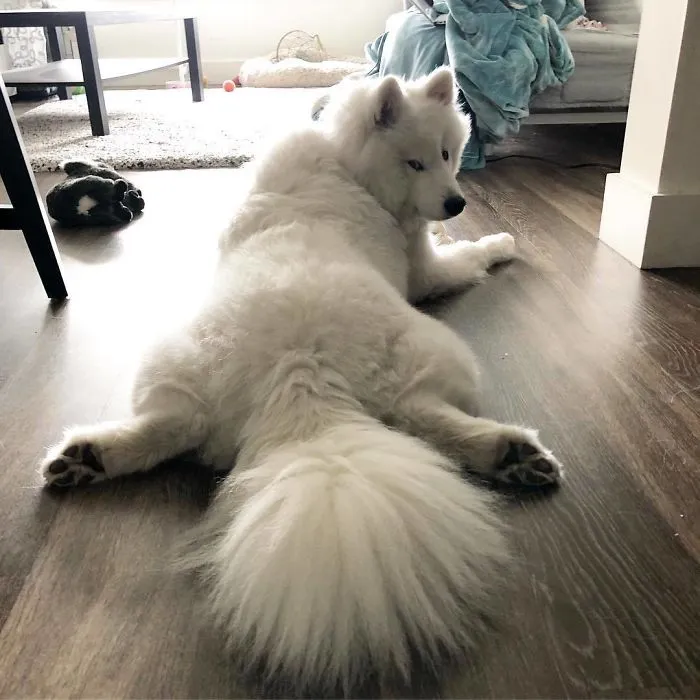 What Are You Looking At?