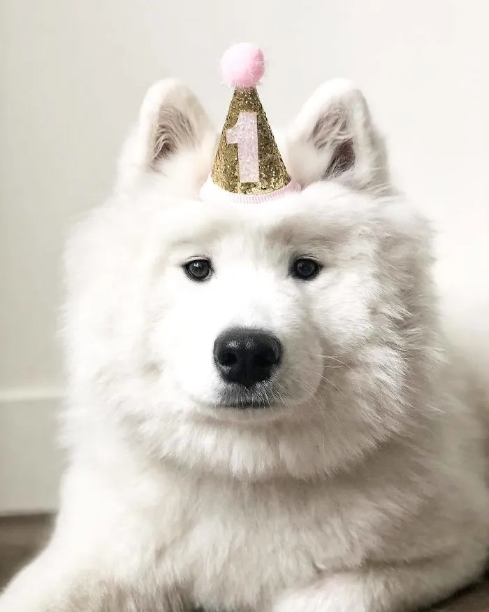 Birthday Girl