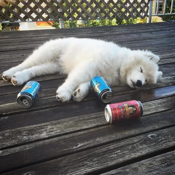 Wasted