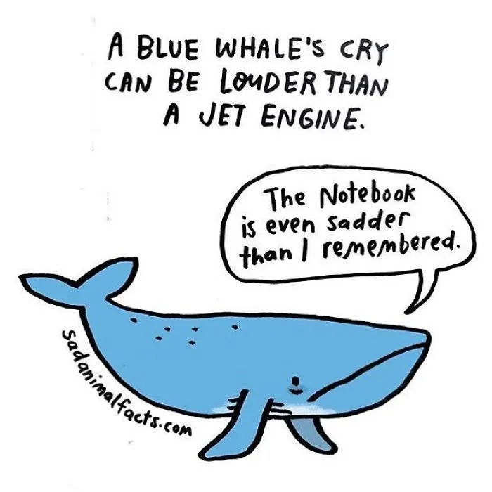 Blue whale illustration with text about its loud cry, highlighting sad animal facts in a simple cartoon style.