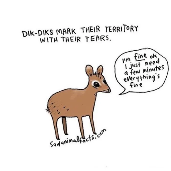Tiny Tears, Big Drama