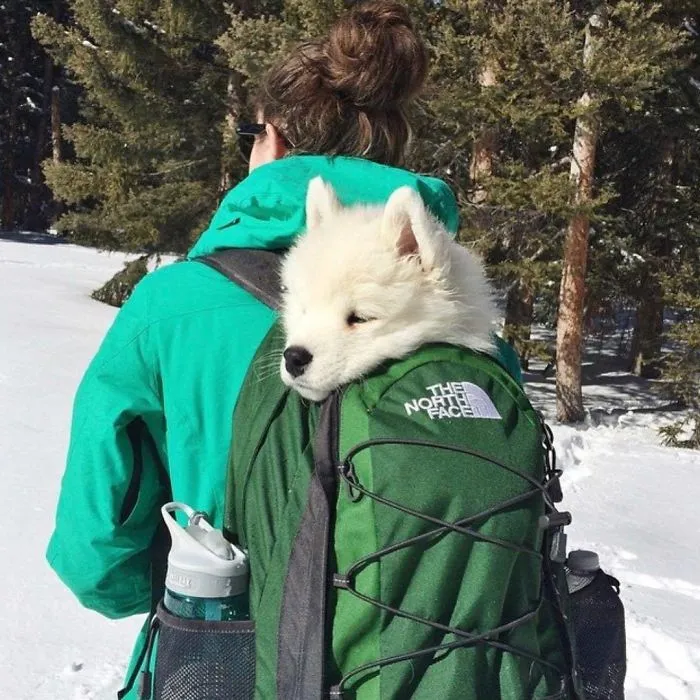 "Only Pack Essentials"