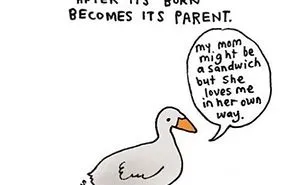45 Sad Animal Facts You Probably Didn’t Know