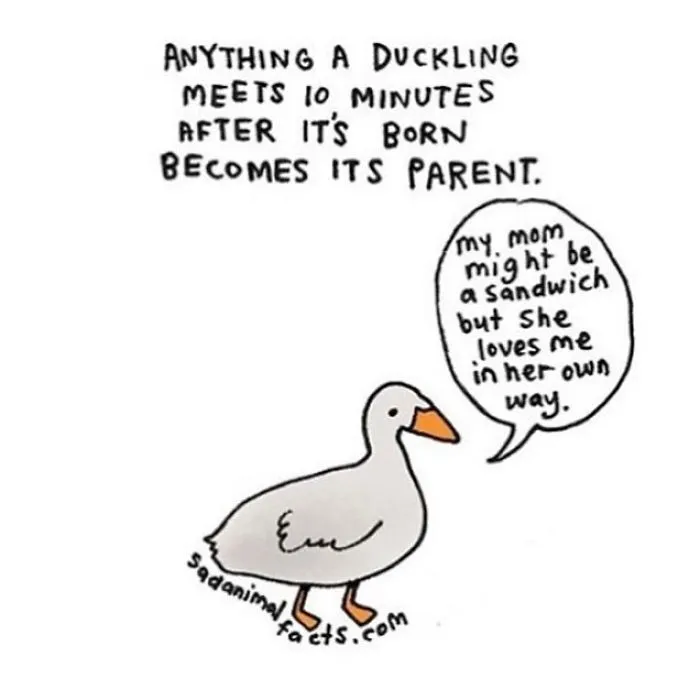 Unconditional Love, Duck Style