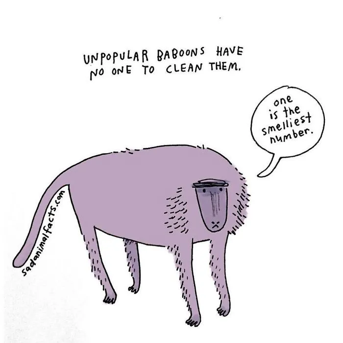 Sad animal fact cartoon showing an unpopular baboon with no one to clean it, highlighting sad animal facts.