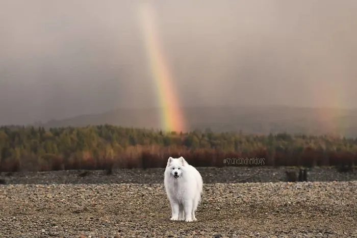My Pot Of Gold
