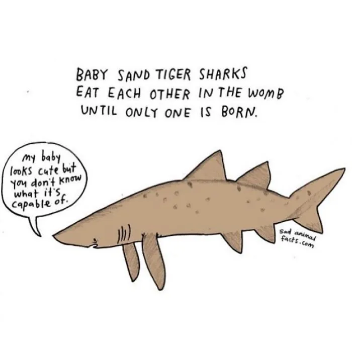 Underneath the Surface
