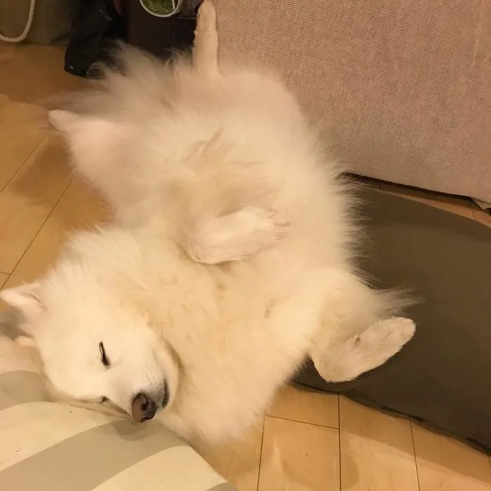 Knocked Out