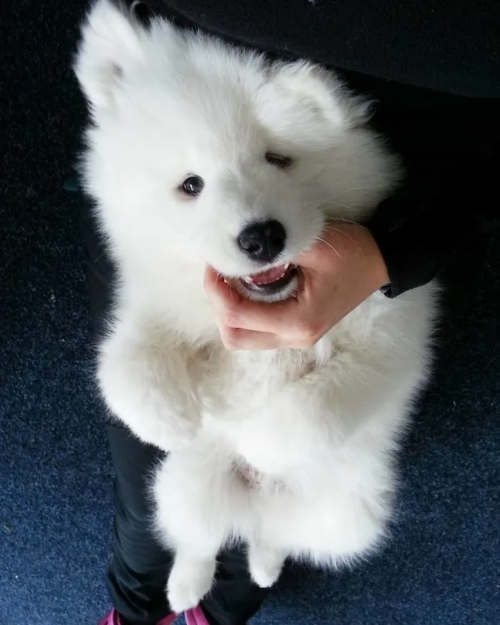 Flashback To Those Times I Fitted In Mommy's Lap And Was Allowed To Chew Whatever I Wanted. Or Maybe I Wasn't Allowed But I Did It Anyway