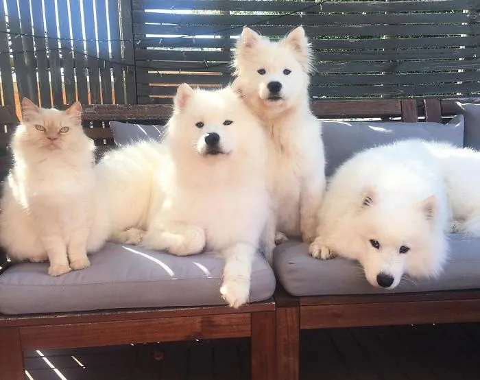 One Is Not Like The Others