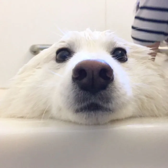 Not Looking Forward To The Bath