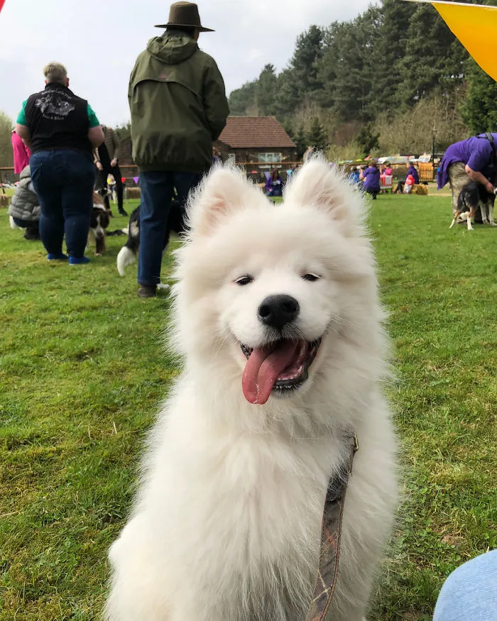 Hiya