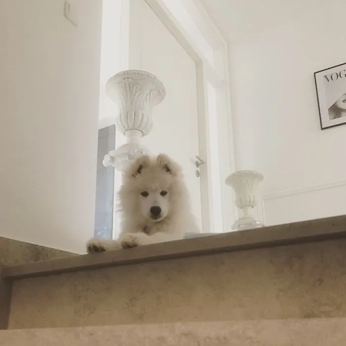 My Cutie Is Waiting For Me