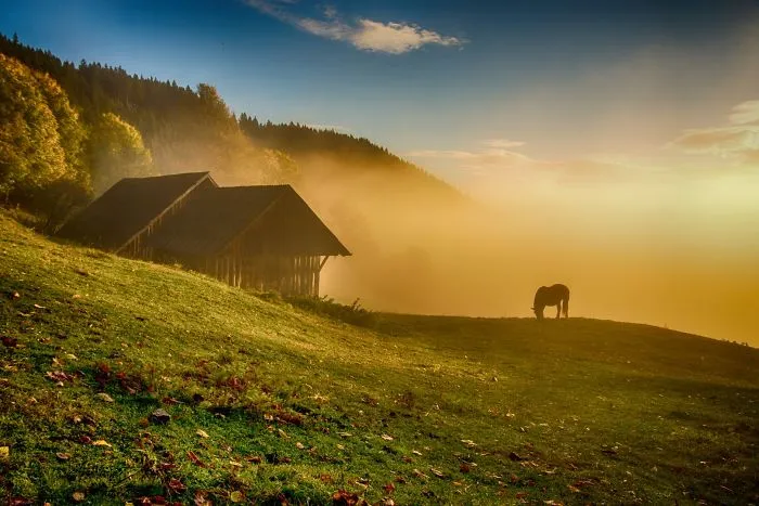 24 Reasons To Visit Slovenia If You're A Photographer (In Pictures)