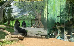 Zoo From My Point Of View.