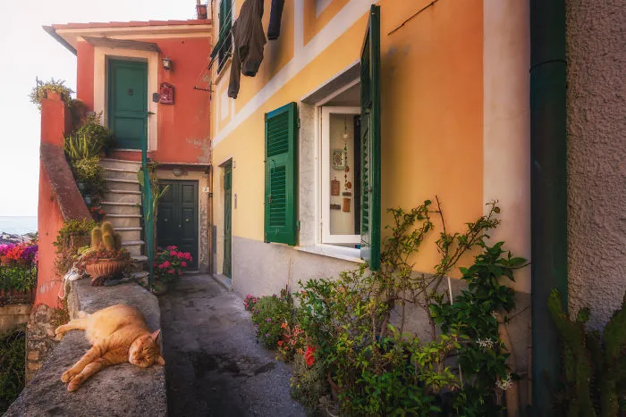 I Capture The Beauty Of Italian Back Alleys, And They Remind Me Of Fairy Tales