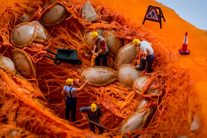 Pumpkin Co.