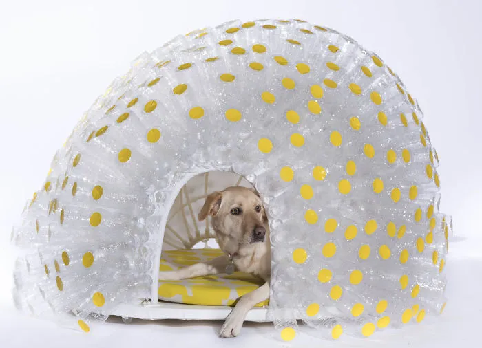 Architects Around The World Design Unique Dog Houses And It's For A Good Cause