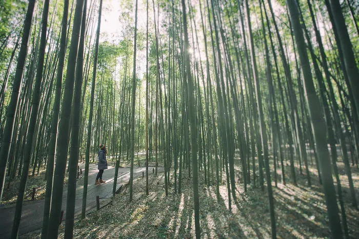 The No-Face Tourist In Japan
