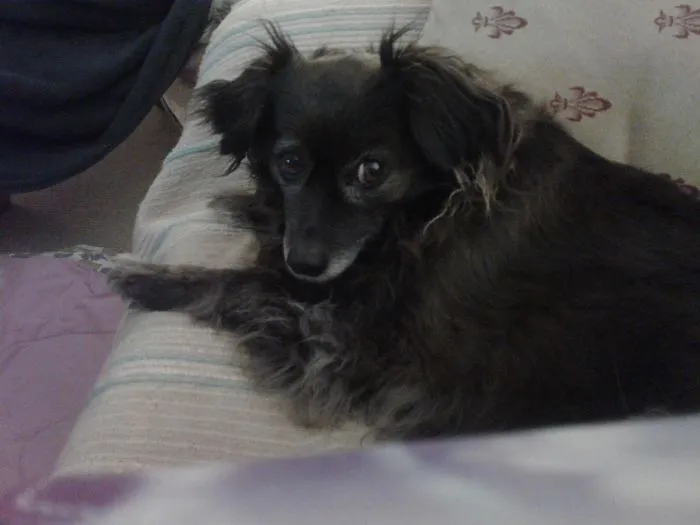 Jess, Also Called Jessie, Jessica, Jessieloo.