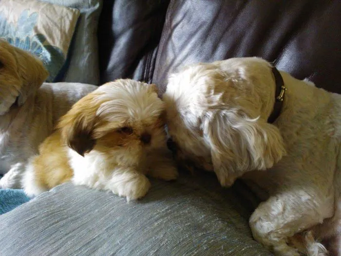 Millie With Her Uncle Max