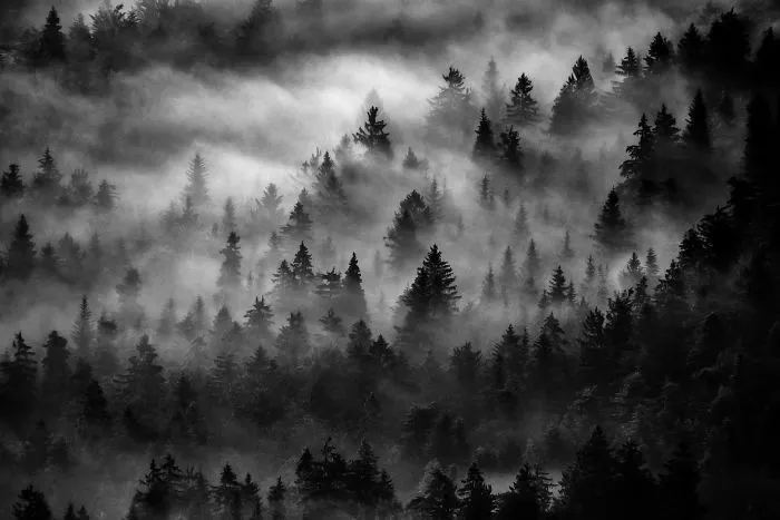 24 Reasons To Visit Slovenia If You're A Photographer (In Pictures)