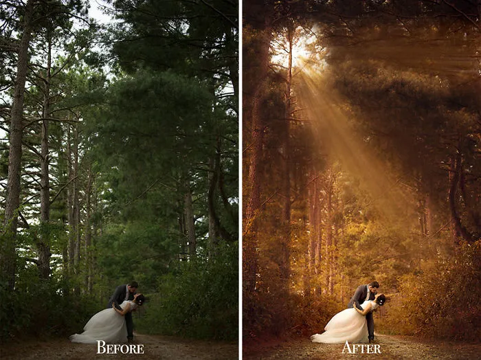 I Want To Show You Some Photography Lessons That I've Learnt In These 19 Photos