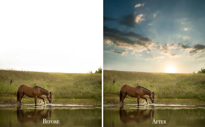 I Want To Show You Some Photography Lessons That I've Learnt In These 19 Photos