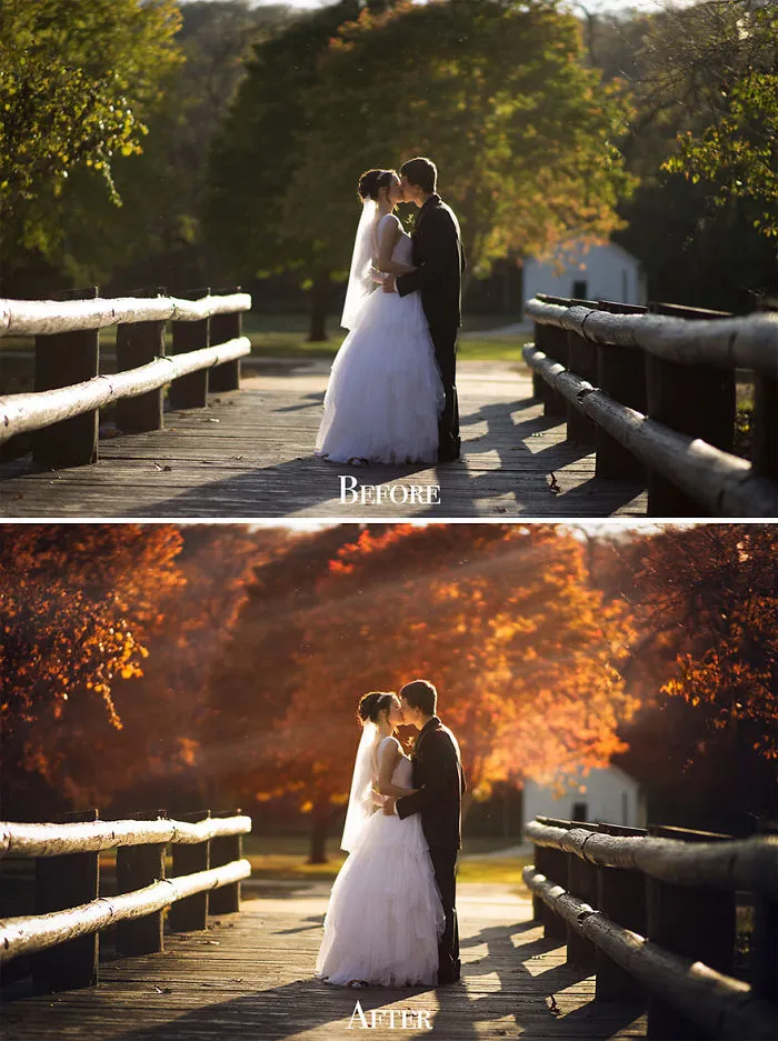I Want To Show You Some Photography Lessons That I've Learnt In These 19 Photos