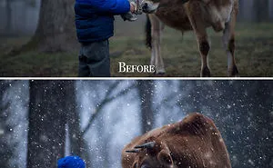 I Want To Show You Some Photography Lessons That I've Learnt In These 19 Photos