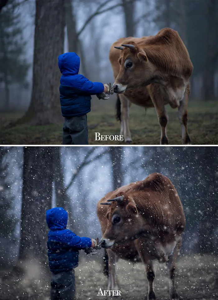 I Want To Show You Some Photography Lessons That I've Learnt In These 19 Photos