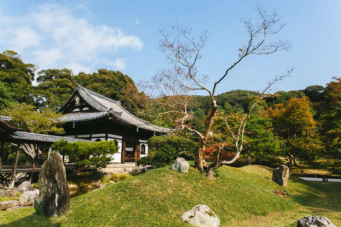 Kodaji, Eastern Kyoto