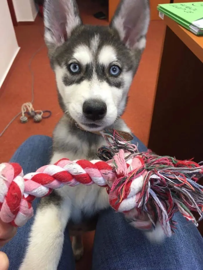 Our Little Nala