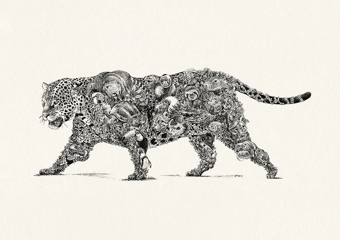 Jaguar / South America