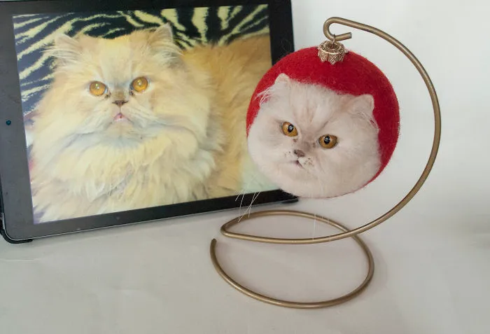 I Use Natural Sheep's Wool To Felt 3D Animal Portraits And I Love Every Model I've Created (26 Pics)