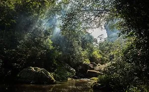 10 Images From Rural Pondoland