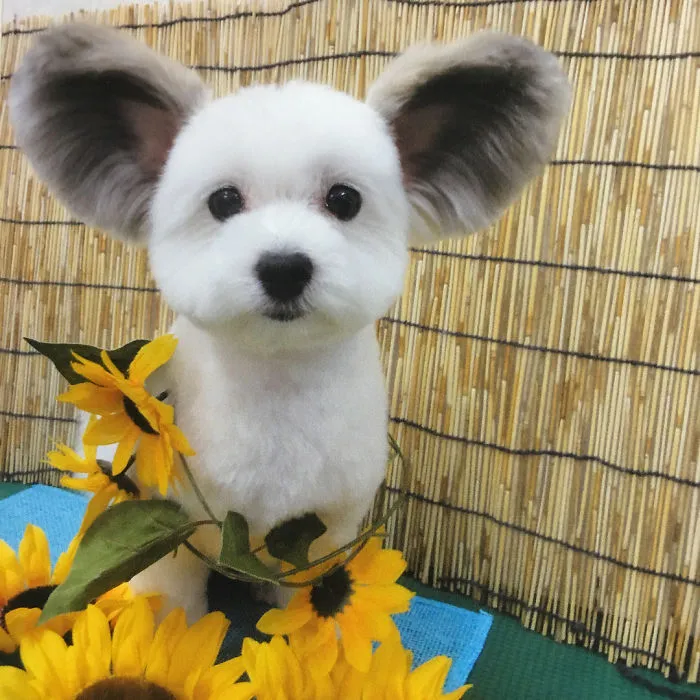 The Internet Is Obsessed With This Puppy With Mickey Mouse Ears, And Her Photos Will Make Your Day